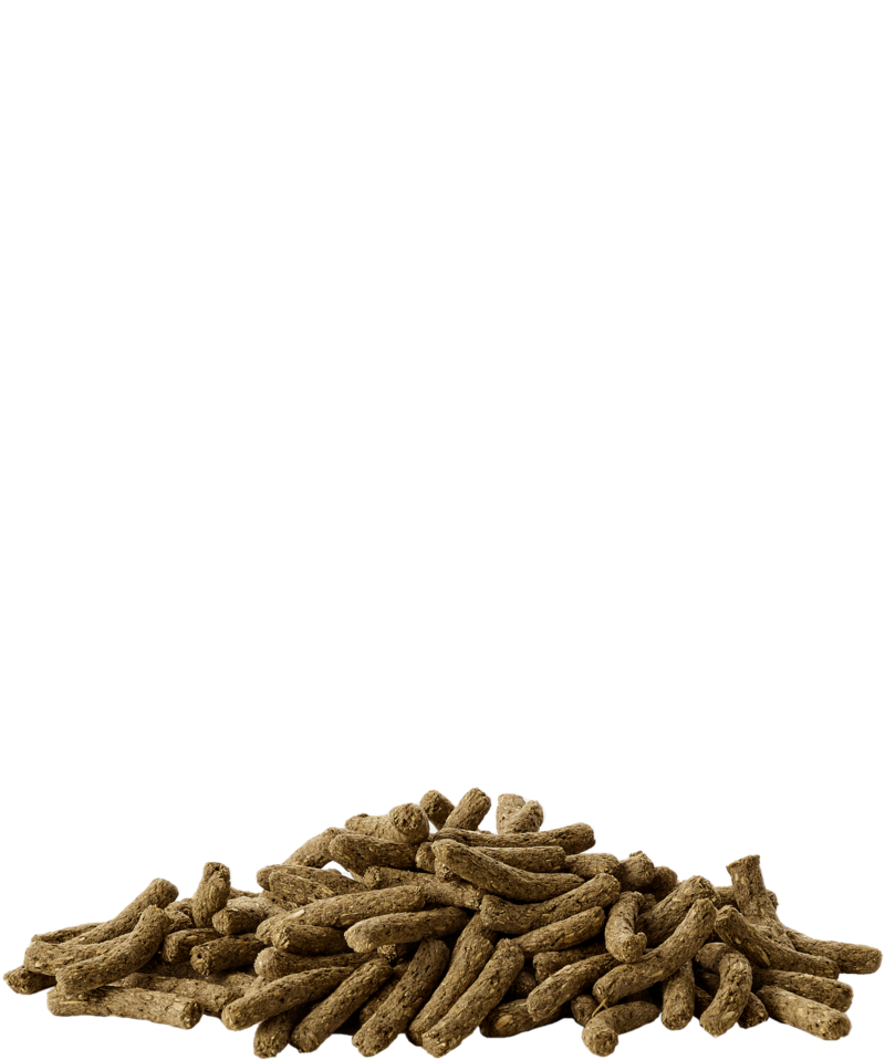 Versele-laga - Complete Cuni junior 500g - Alimento completo estruso per conigli (nani) da 0 a 8 mesi.