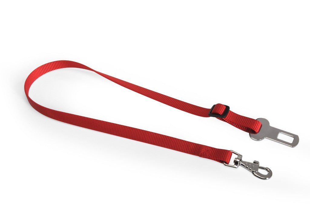 Guinzaglio di sicurezza