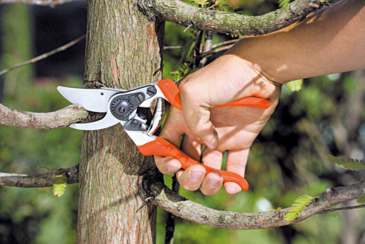 Forbice Profi Bypass 22 - 343