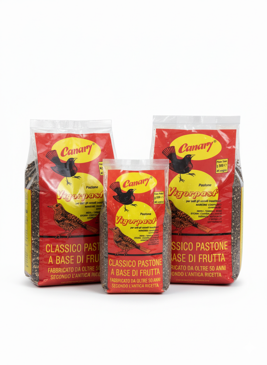 Vigorpast | Pastone classico a base di frutta - Canary