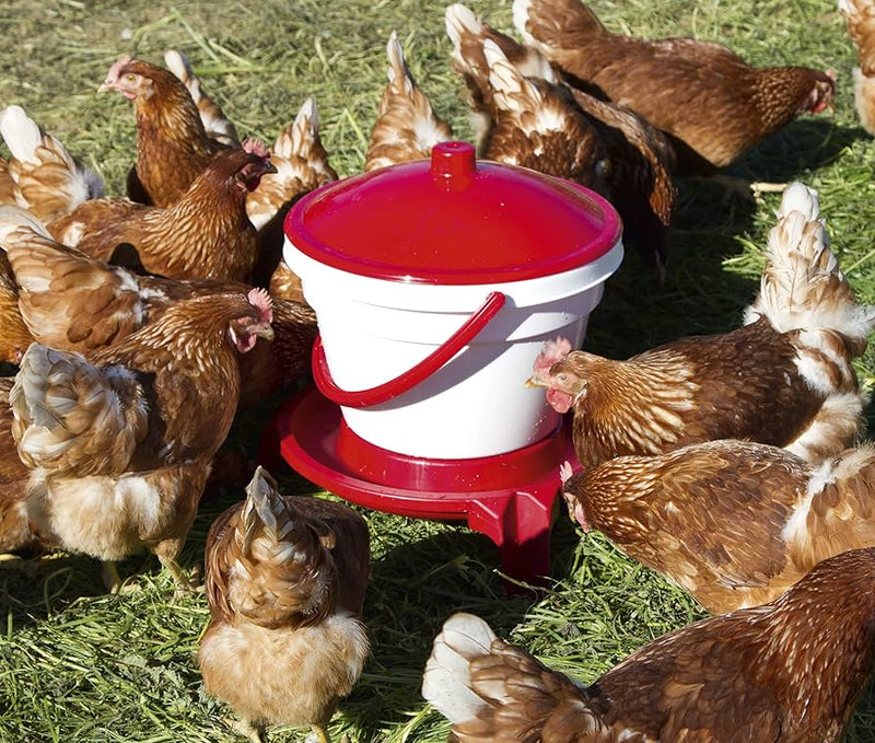 Avicoli rurali - Accessori