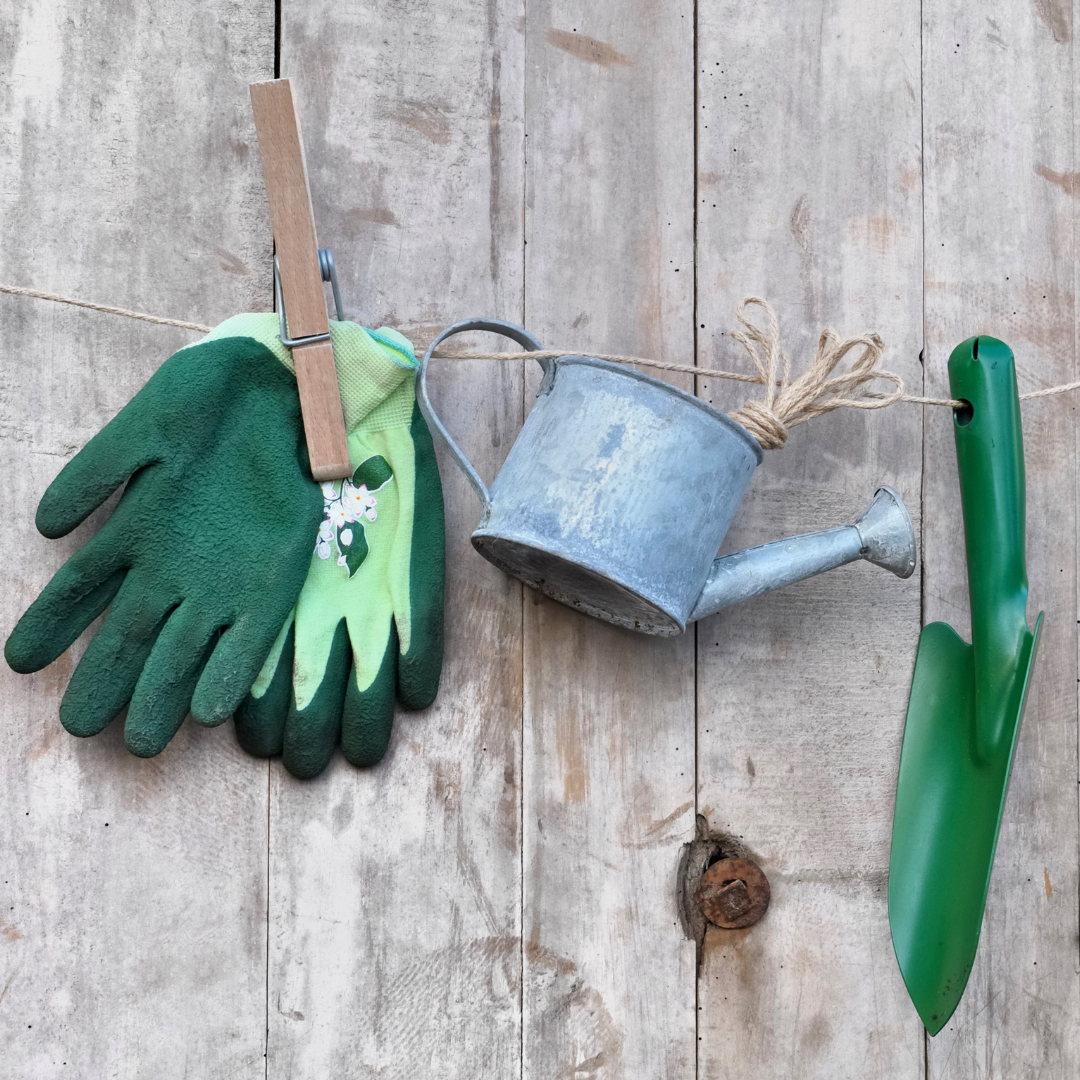 Orto e Giardino - Accessori