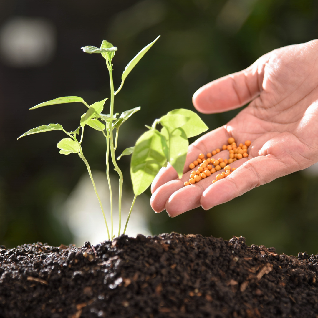 Orto e Giardino - Concimi