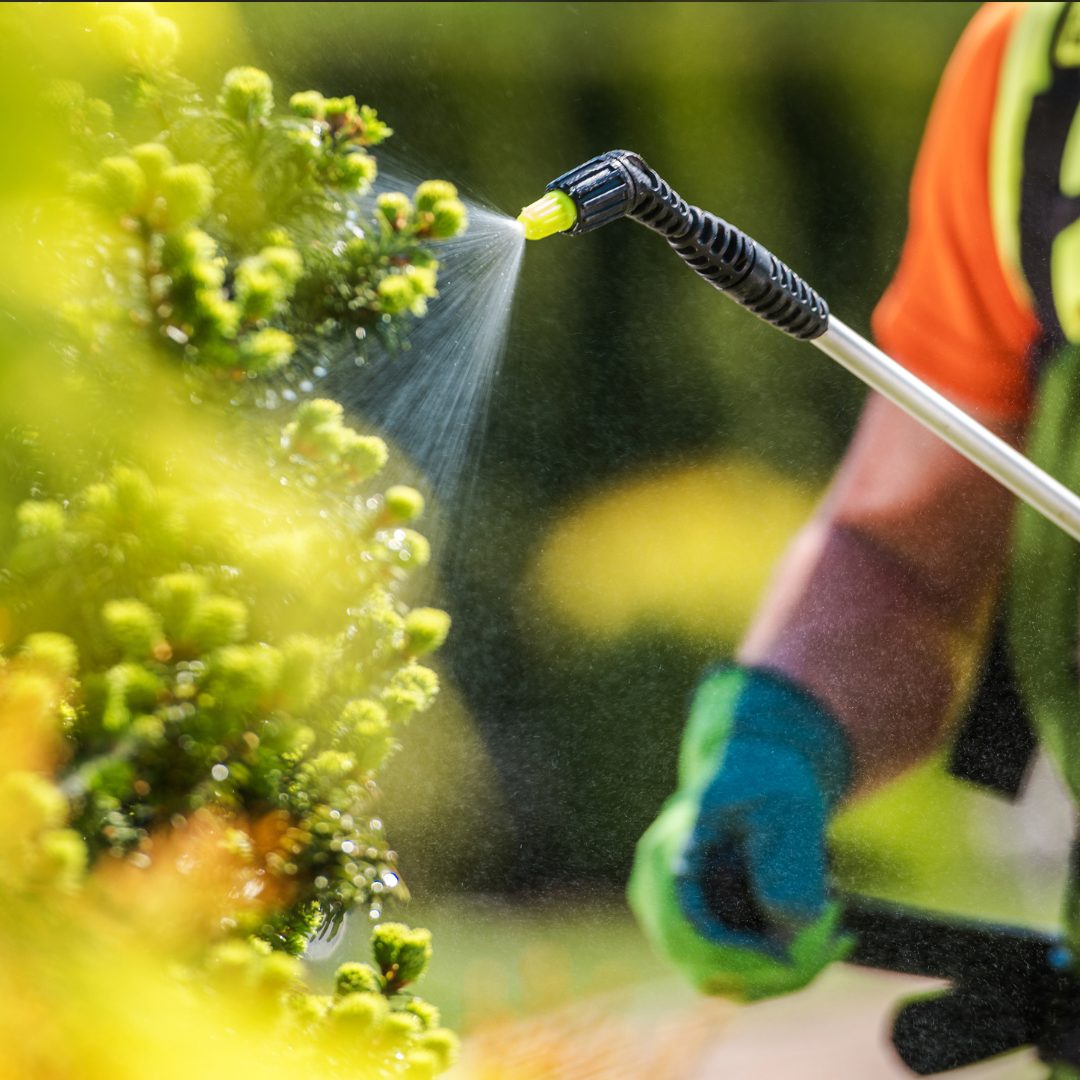Orto e Giardino - Insetticidi