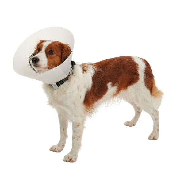 Kruuse - Collare Elisabetta Classic