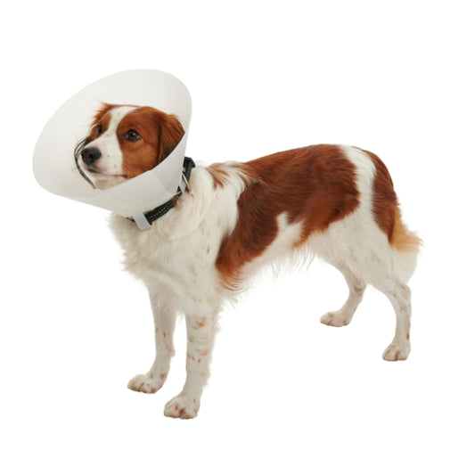 Kruuse - Collare Elisabetta Classic