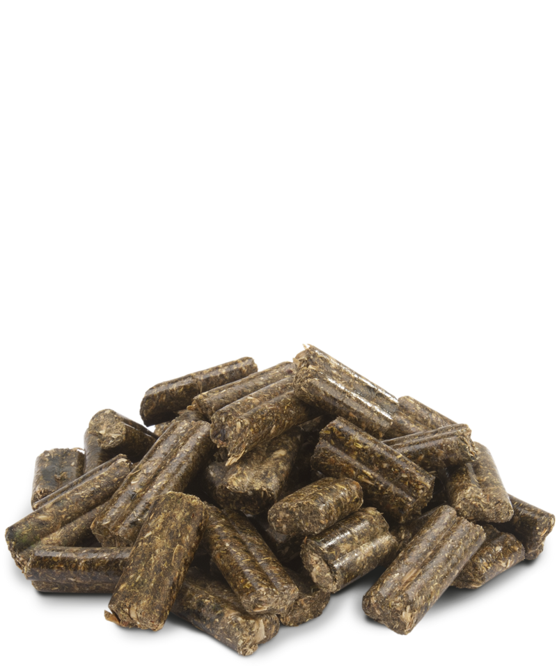 VERSELE-LAGA - Crispy pellets rabbit - alimento per conigli nani