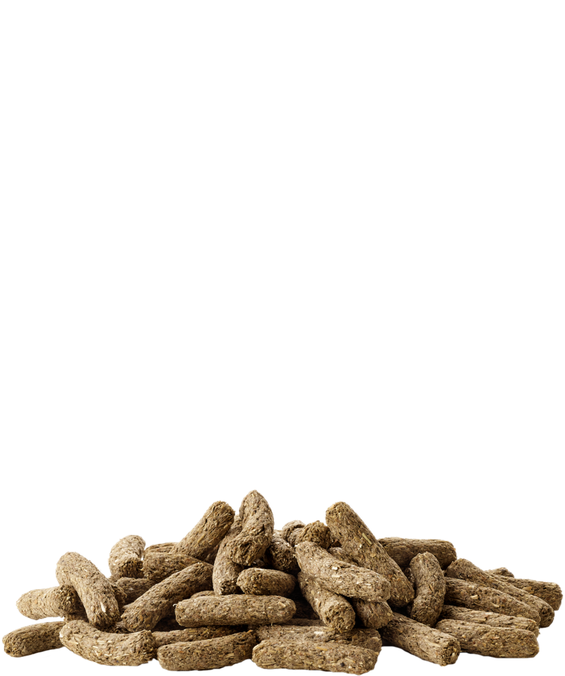 Versele laga - Complete cuni adult 500g - Alimento completo estruso per conigli (nani) adulti