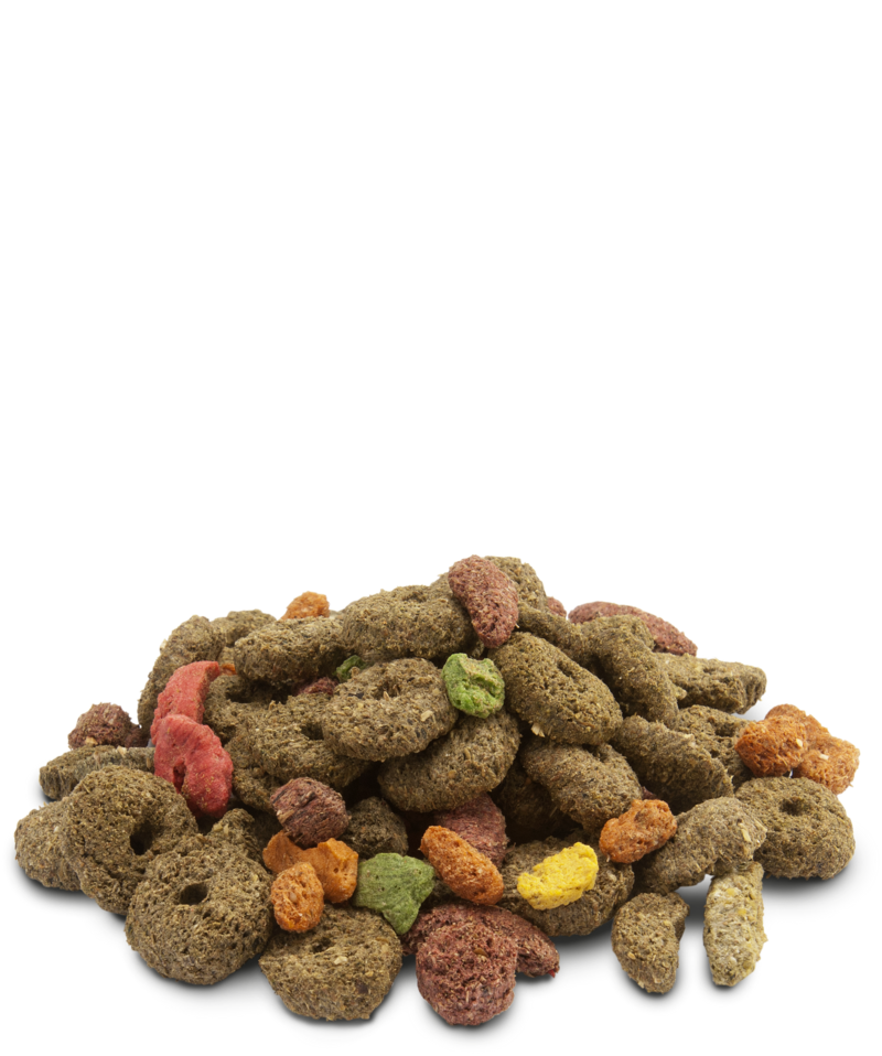 VERSELE-LAGA - Crispy snack fibres - Snack saporito e ricco di fibre: per conigli, porcellini d'India, cincillà, degù