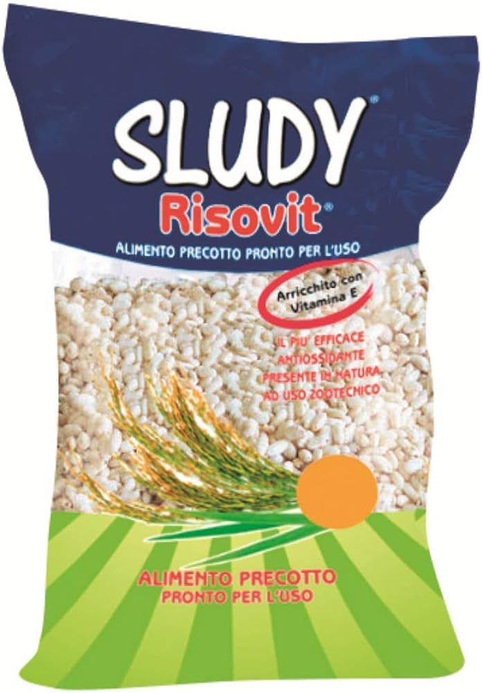 Sludy risovit
