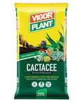 Terriccio CACTACEE - PIANTE GRASSE