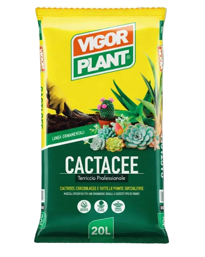 Terriccio CACTACEE - PIANTE GRASSE