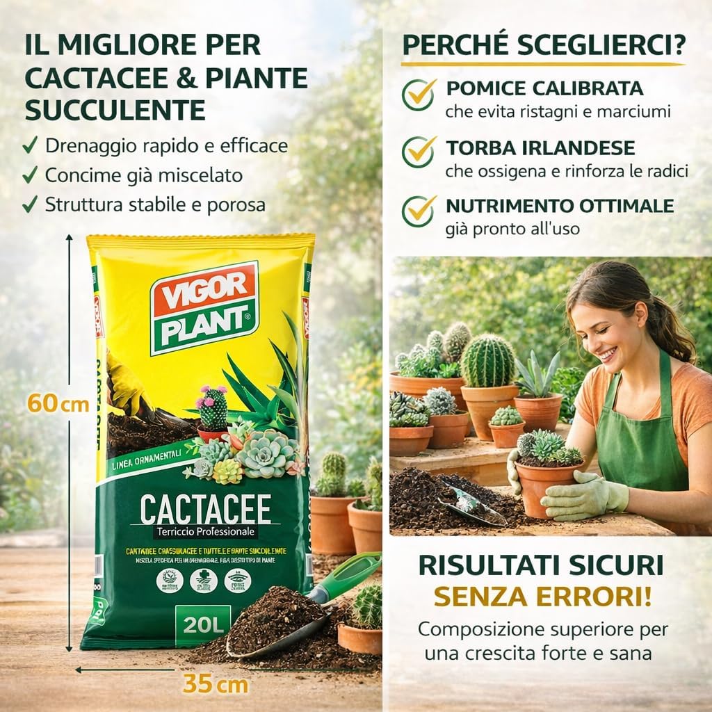 Terriccio CACTACEE - PIANTE GRASSE