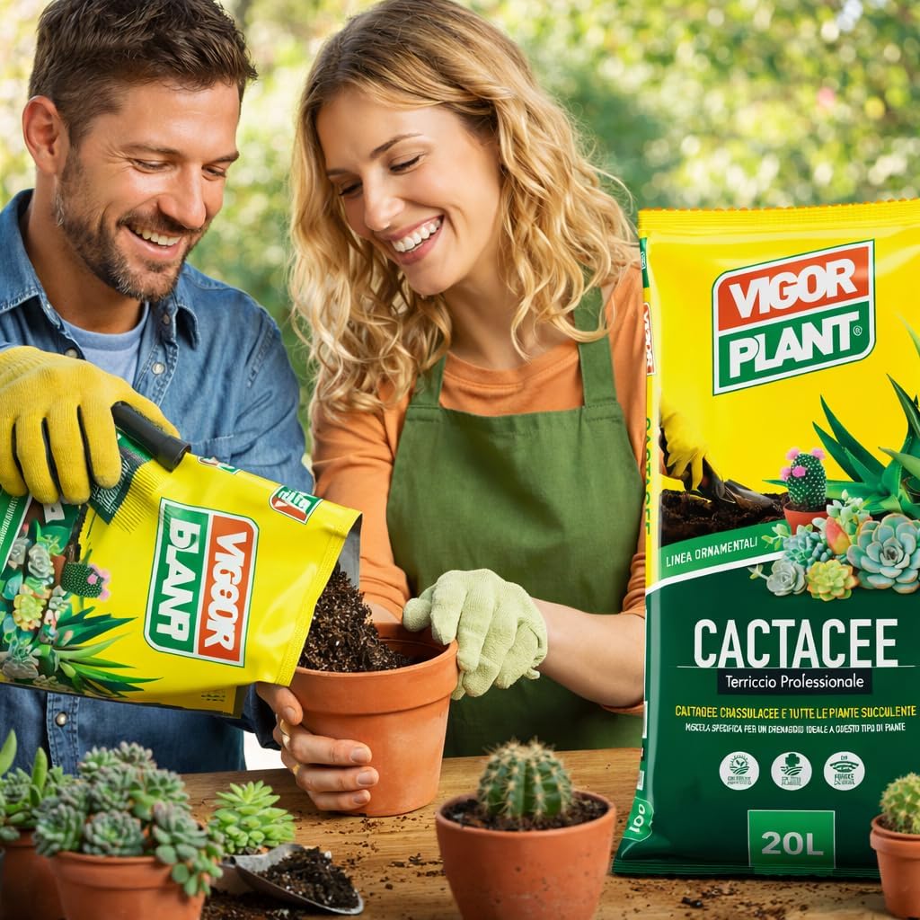 Terriccio CACTACEE - PIANTE GRASSE
