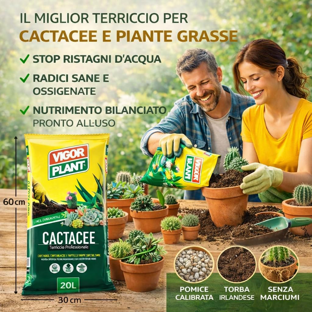 Terriccio CACTACEE - PIANTE GRASSE