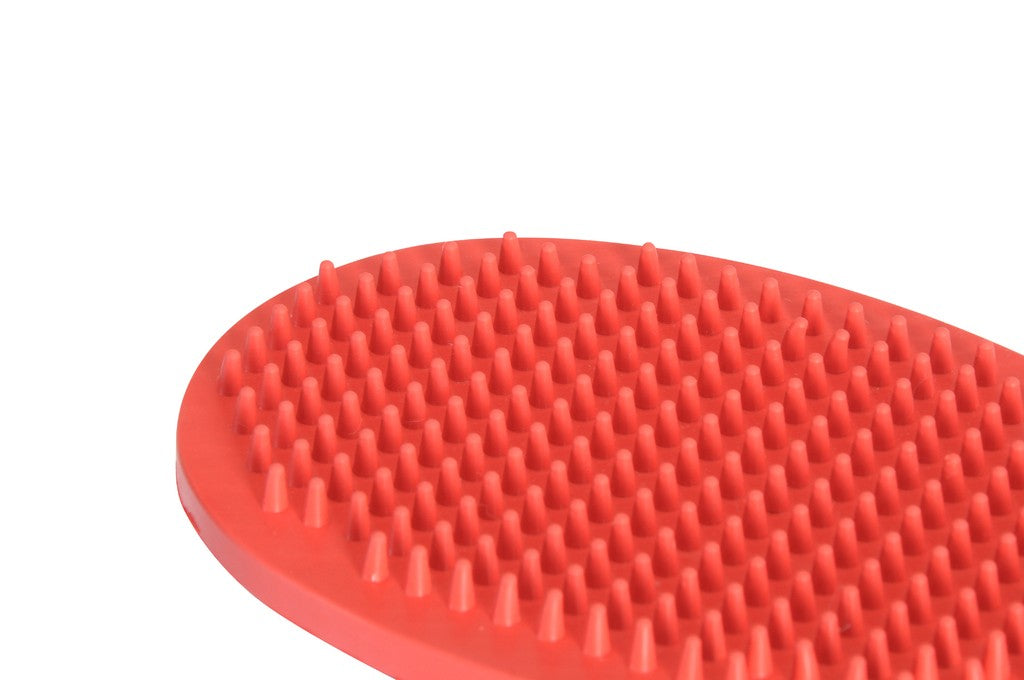 Spazzola in gomma per cani e gatti