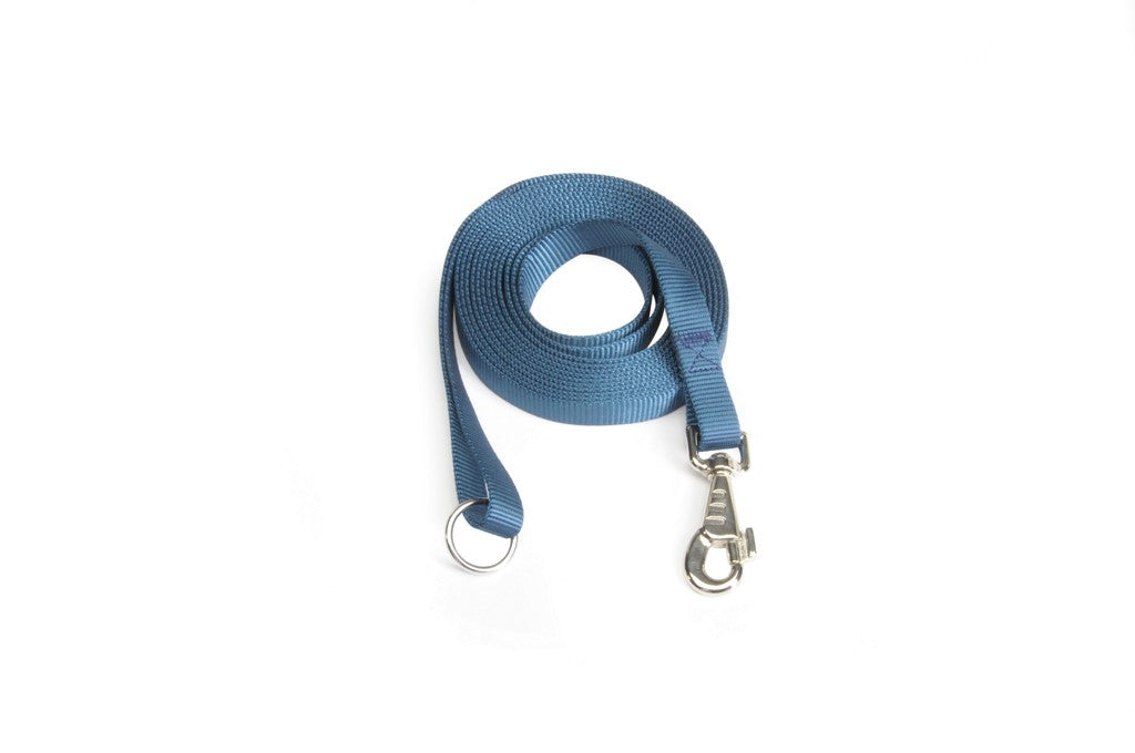 Guinzaglio in nylon blu - F110