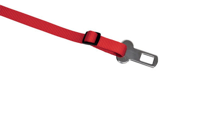 Guinzaglio di sicurezza