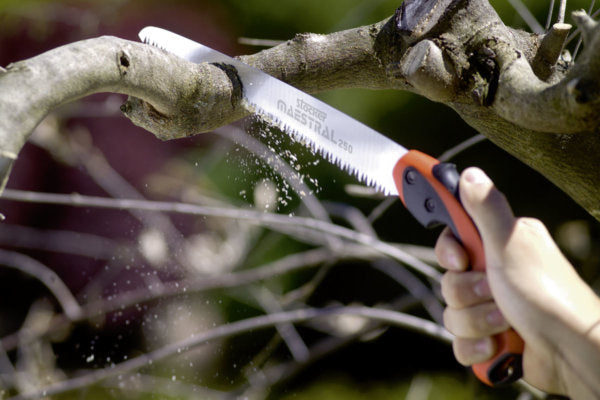 Seghetto Maestral 250 - 1514