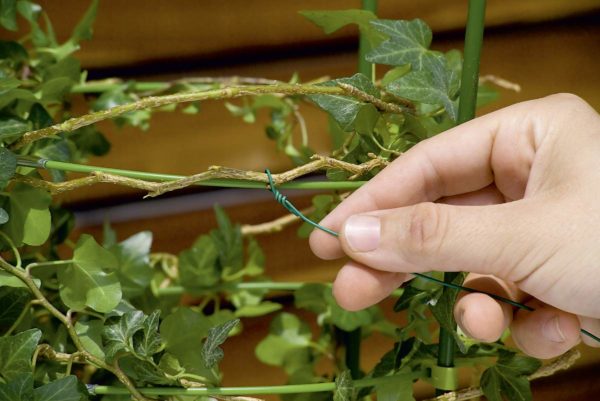 Filo zincato plastificato - 20123