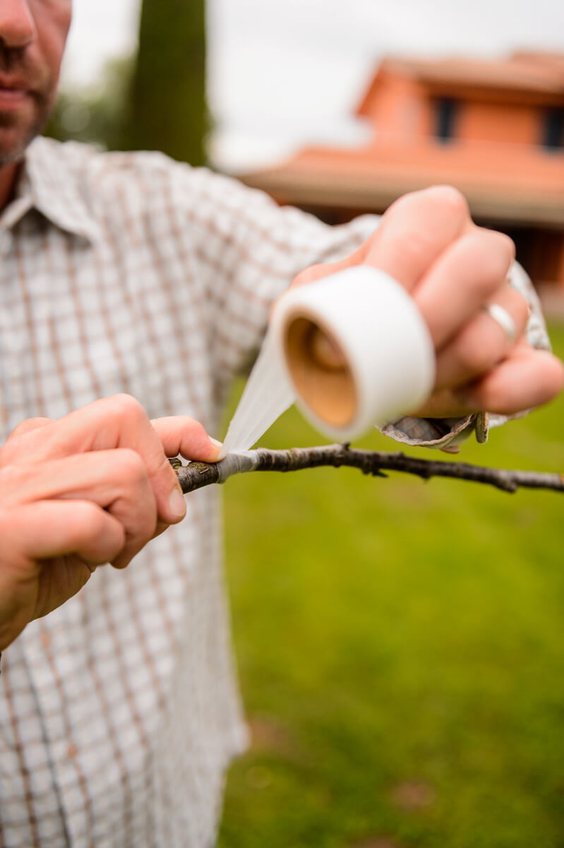 Buddy Tape non perforato - 2081