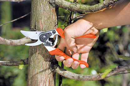 Forbice Profi Bypass 22 - 343