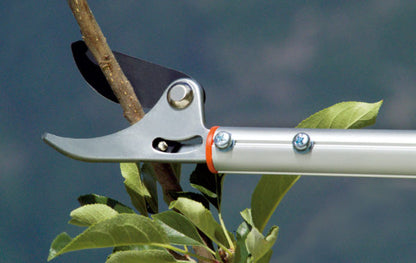 Forbice ad asta lunga Bypass 180 - 504