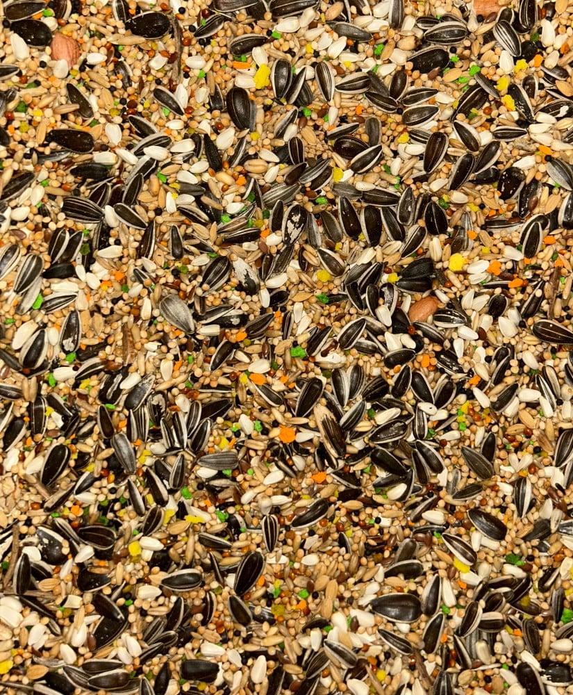 Prestige Big Parakeets | Versele Laga