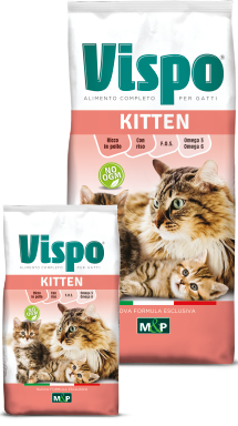 VISPO - Croccantini per gatto cucciolo - KITTEN