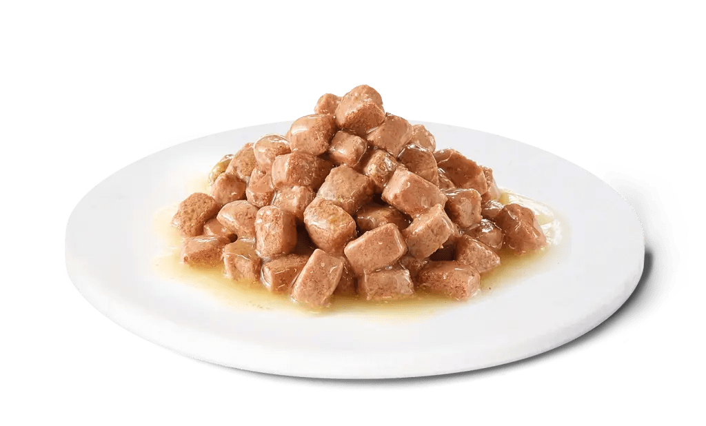 ADVANCE - RENAL - Dieta veterinaria per gatti con problemi ai reni