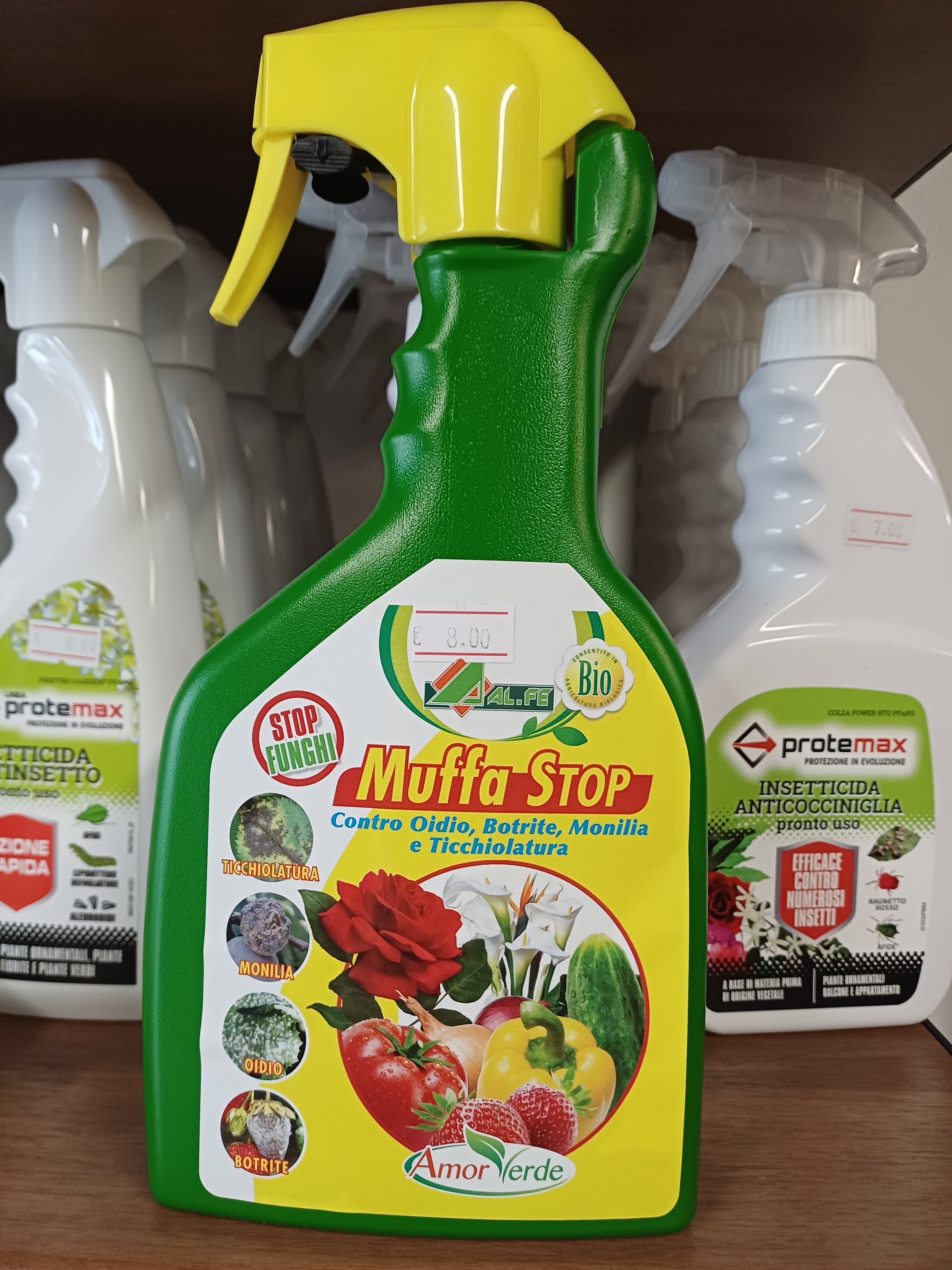 Muffa stopalfe
