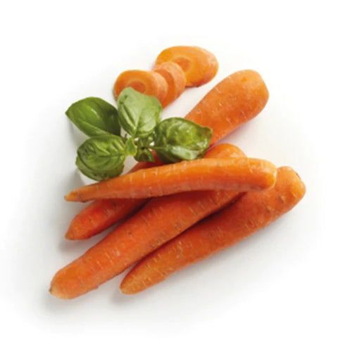 CAROTA Nantese di Chioggia 2