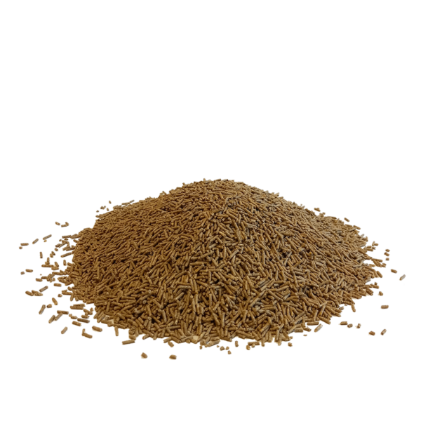 MC Re del Canto - CANTO