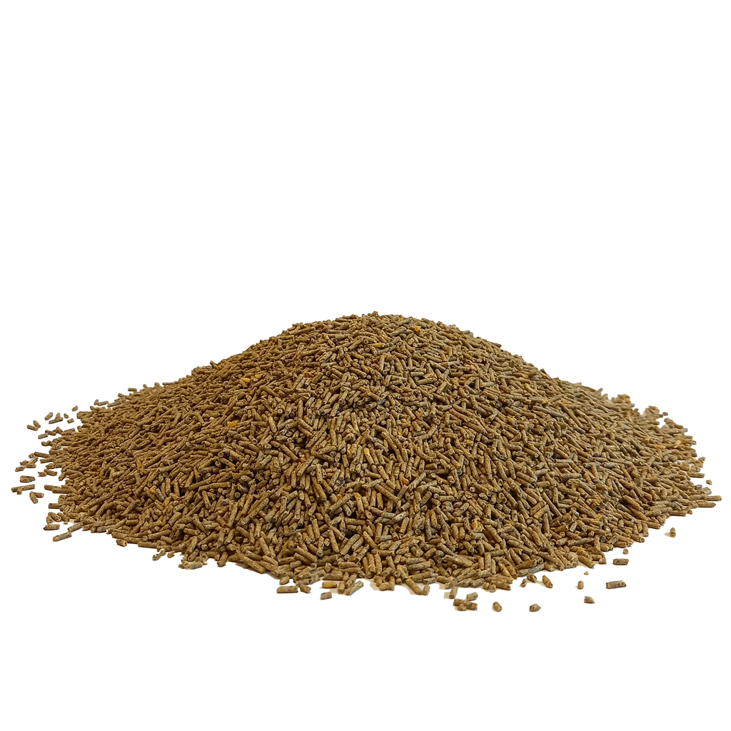 MC Re del Canto -  MUTA