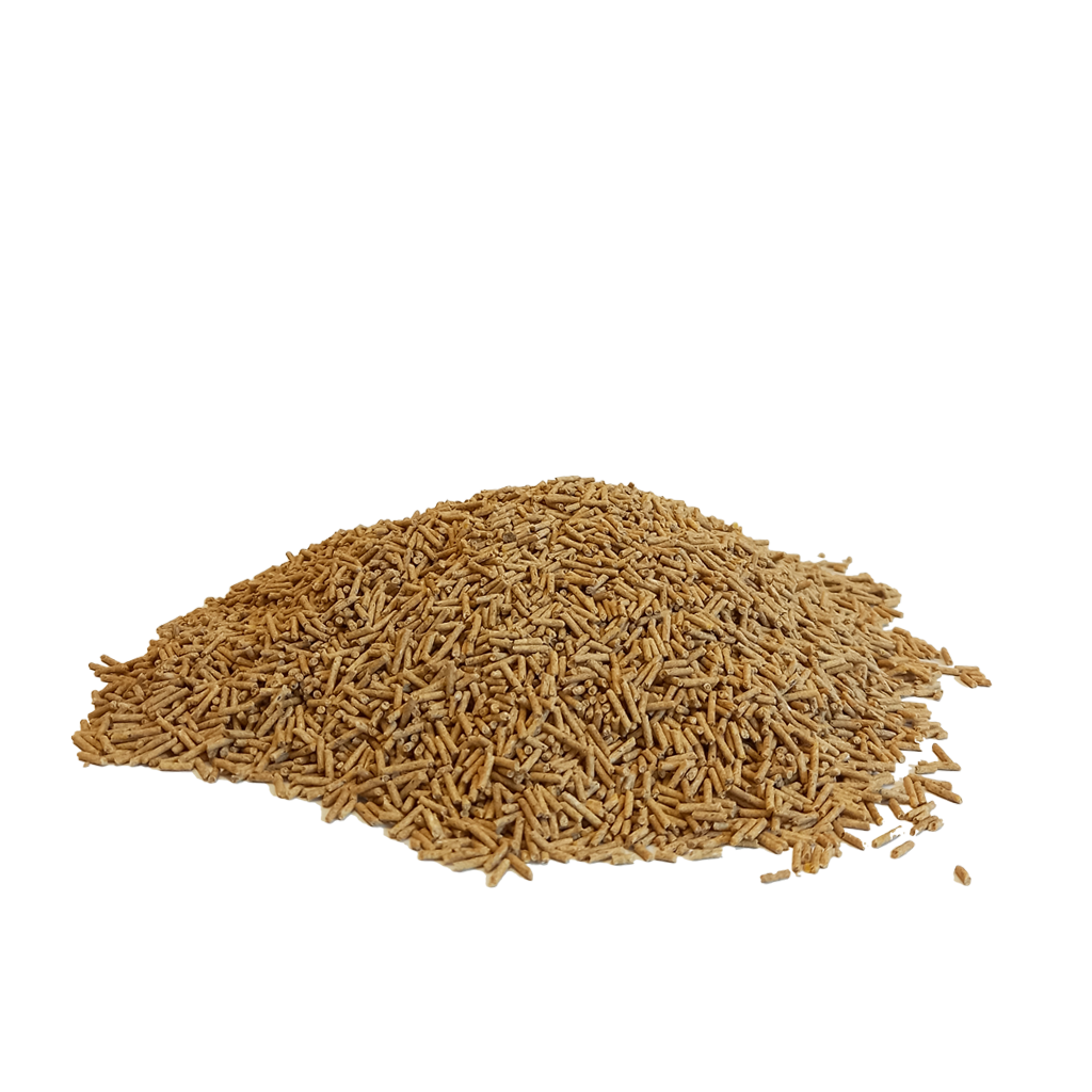 MC Re del Canto - RIPOSO