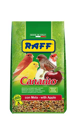RAFF canarito