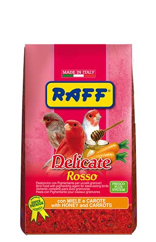 RAFF delicate rosso