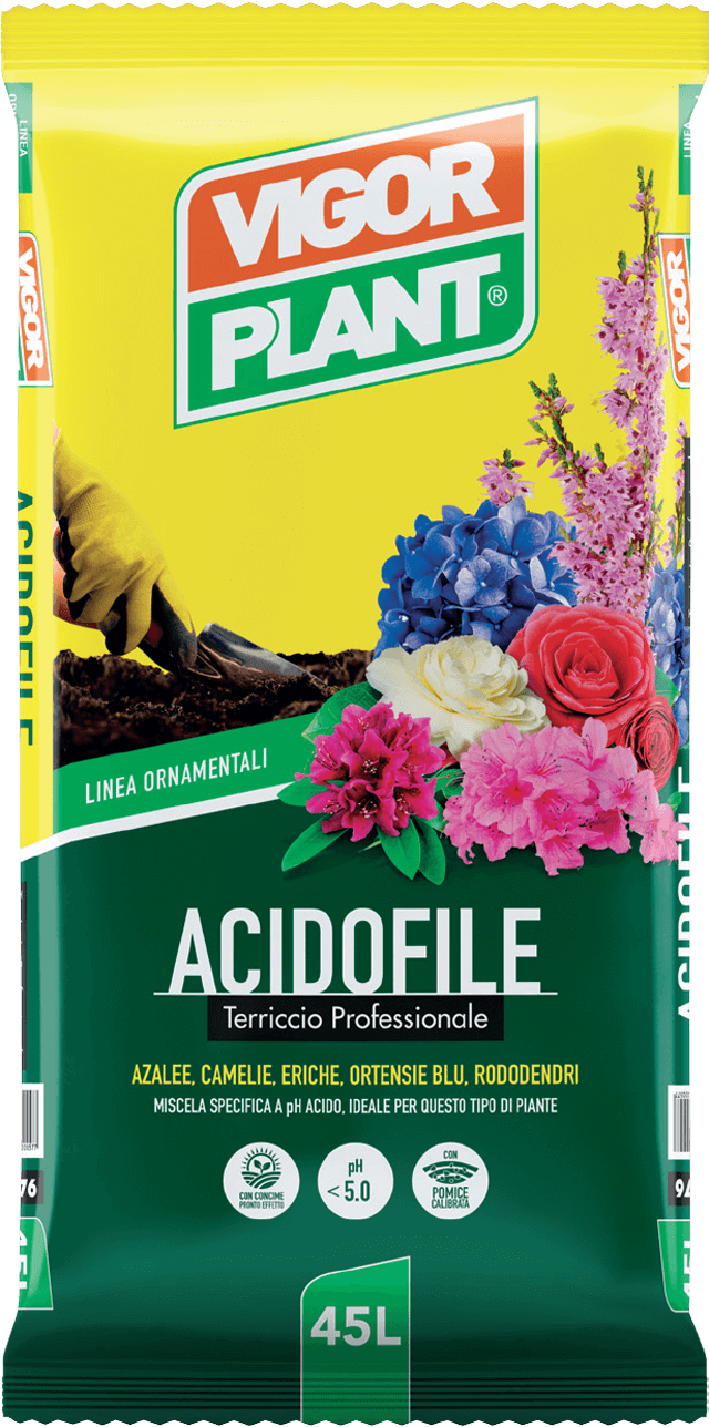 Terriccio ACIDOFILE