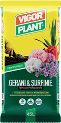 Terriccio GERANI e SURFINIE