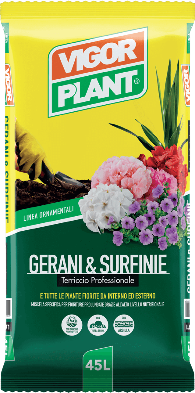 Terriccio GERANI e SURFINIE