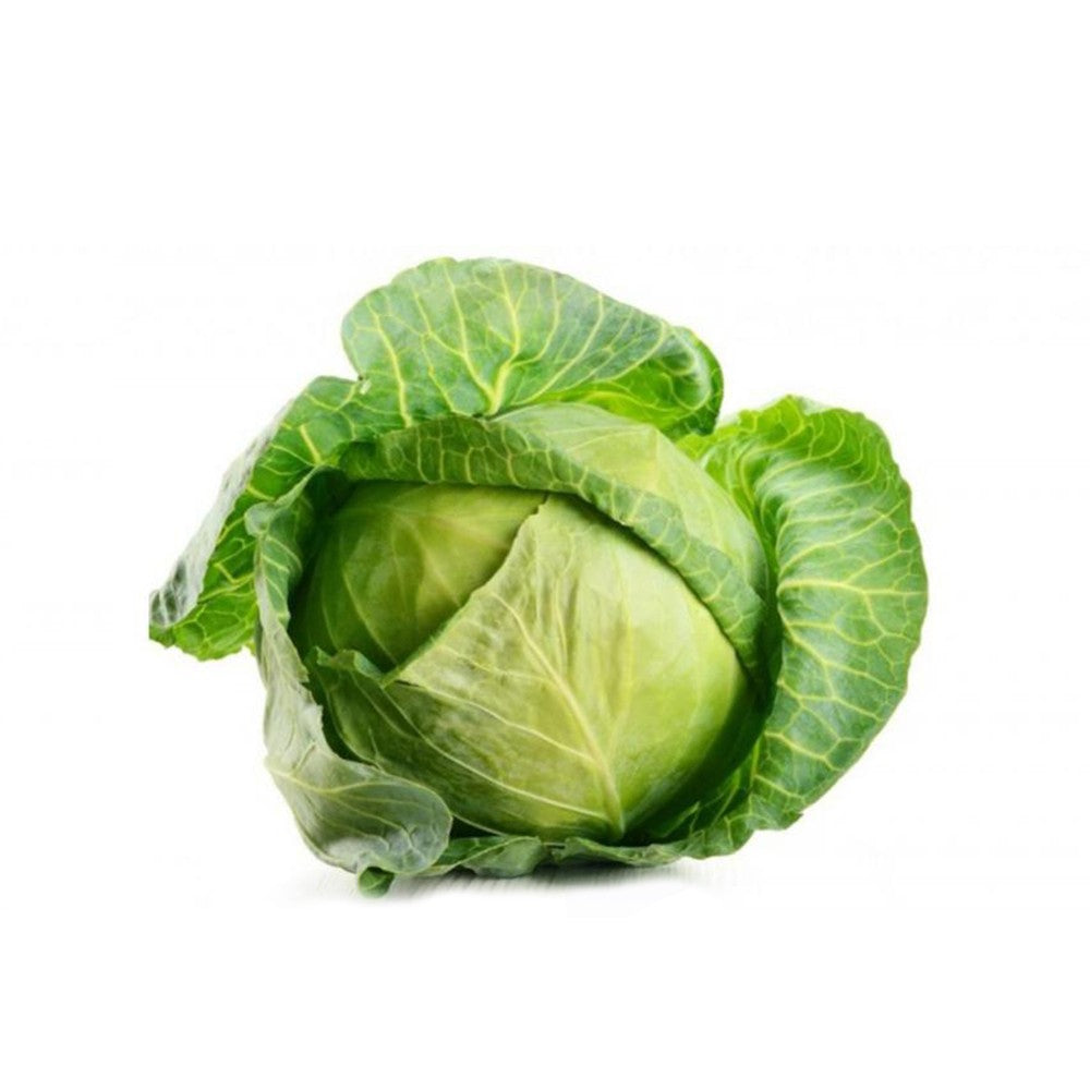 Cavolo cappuccio tondo