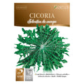 CICORIA Selvatica da campo