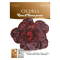 CICORIA rossa di Verona precoce