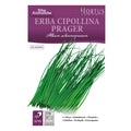 ERBA CIPOLLINA PRAGER Allium schoenprasum