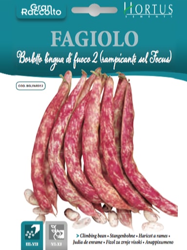 FAGIOLO Borlotto lingua di fuoco 2 (RAMPICANTE sel. FOCUS)