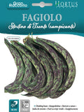 FAGIOLO Stortino di Trento (RAMPICANTE)