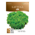 LATTUGA Lollo