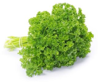 PREZZEMOLO Moss curled 2