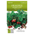 FRAGOLE RAMPICANTI Fragaria vesca
