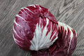 Radicchio di Chioggia precoce